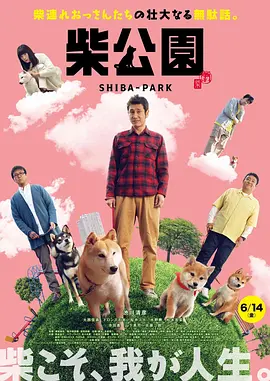 91青娱乐在线视频